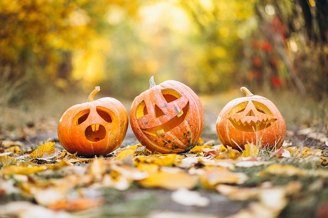 pumpkin-6720424_640.jpg